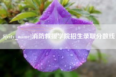 三沙消防救援学院招生录取分数线