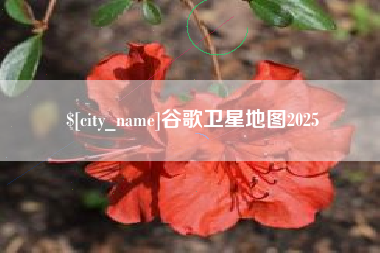 三沙谷歌卫星地图2025