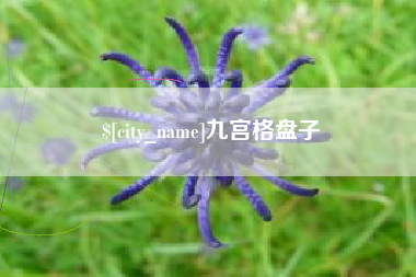 三沙九宫格盘子