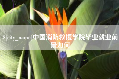 三沙中国消防救援学院毕业就业前景如何