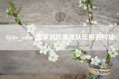 三沙国家消防救援队伍报名网址