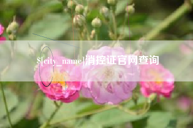 三沙消控证官网查询
