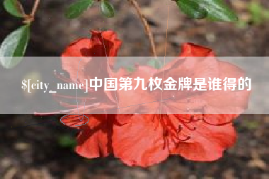 三沙中国第九枚金牌是谁得的