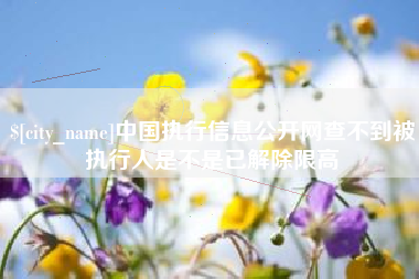 三沙中国执行信息公开网查不到被执行人是不是已解除限高