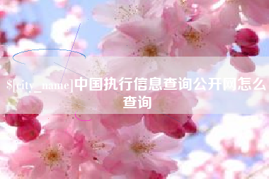 三沙中国执行信息查询公开网怎么查询