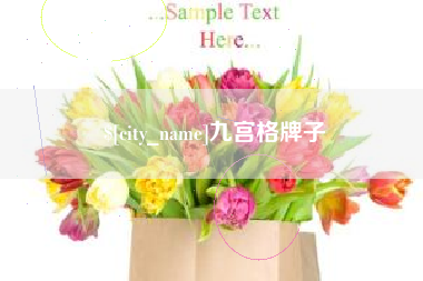 三沙九宫格牌子