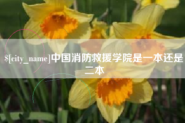 三沙中国消防救援学院是一本还是二本
