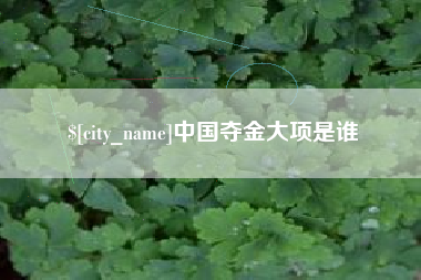 三沙中国夺金大项是谁