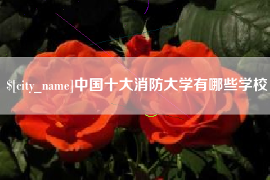 三沙中国十大消防大学有哪些学校