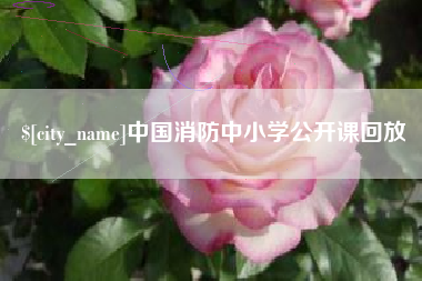 三沙中国消防中小学公开课回放