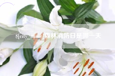 三沙森林消防日是哪一天