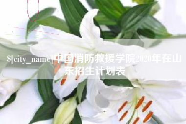 三沙中国消防救援学院2020年在山东招生计划表