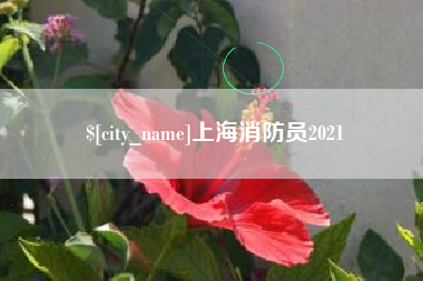 三沙上海消防员2021