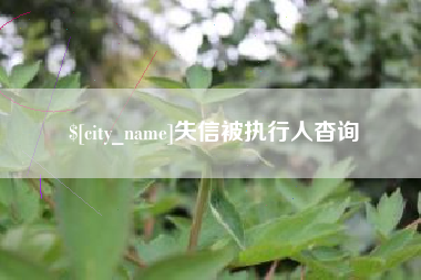 三沙失信被执行人杳询