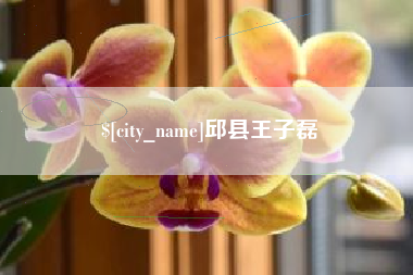 三沙邱县王子磊