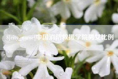 三沙中国消防救援学院男女比例