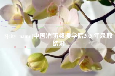 三沙中国消防救援学院2020年录取结果