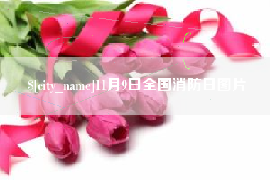 三沙11月9日全国消防日图片