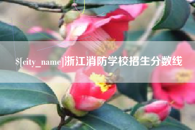 三沙浙江消防学校招生分数线
