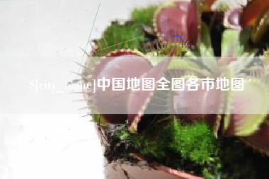 三沙中国地图全图各市地图