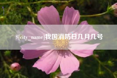 三沙我国消防日几月几号