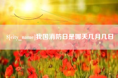 三沙我国消防日是哪天几月几日