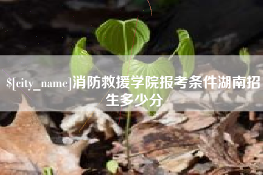 三沙消防救援学院报考条件湖南招生多少分