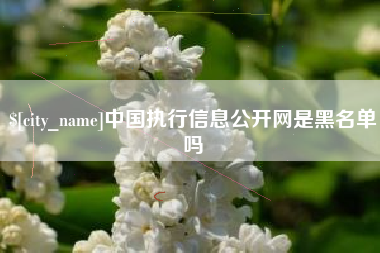 三沙中国执行信息公开网是黑名单吗