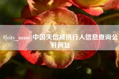 三沙中国失信被执行人信息查询公开网址