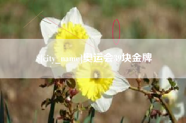 三沙奥运会39块金牌