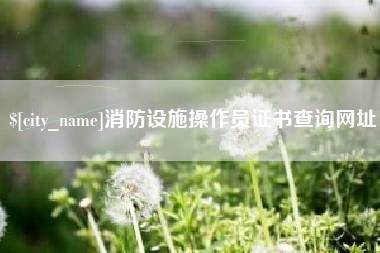 三沙消防设施操作员证书查询网址