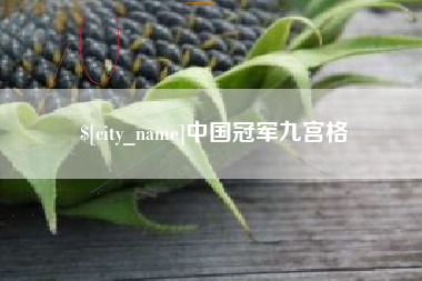 三沙中国冠军九宫格
