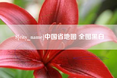 三沙中国省地图 全图黑白