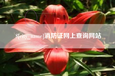 三沙消防证网上查询网站