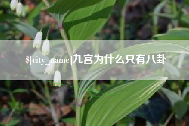 三沙九宫为什么只有八卦