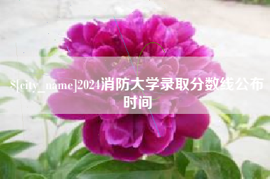 三沙2024消防大学录取分数线公布时间