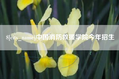三沙中国消防救援学院今年招生