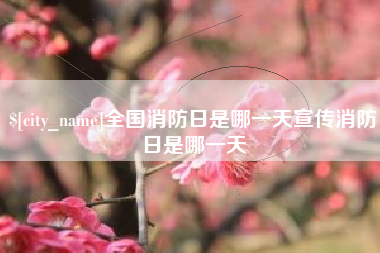 三沙全国消防日是哪一天宣传消防日是哪一天
