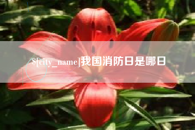 三沙我国消防日是哪日