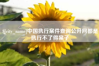 三沙中国执行案件查询公开网都是执行不了得案子