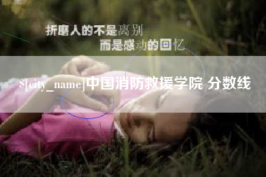 三沙中国消防救援学院 分数线