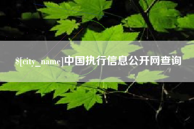 三沙中国执行信息公开网查询