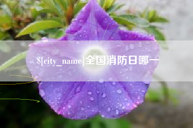 三沙全国消防日哪一