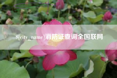 三沙消防证查询全国联网