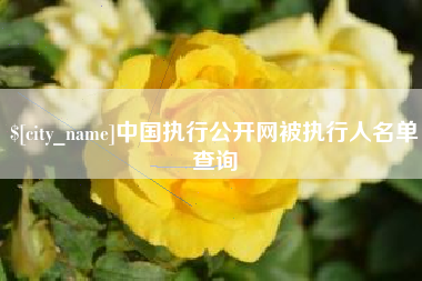 三沙中国执行公开网被执行人名单查询