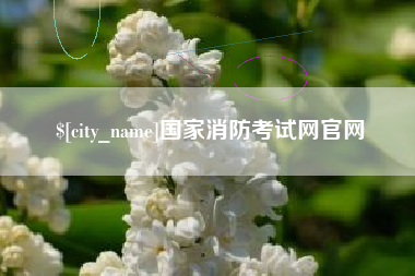 三沙国家消防考试网官网