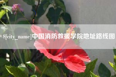 三沙中国消防救援学院地址路线图