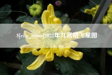 三沙2022年九宫格飞星图