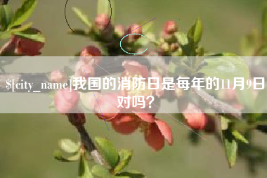 三沙我国的消防日是每年的11月9日对吗？