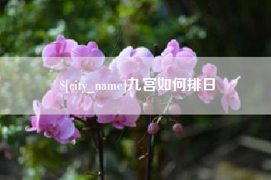 三沙九宫如何排日